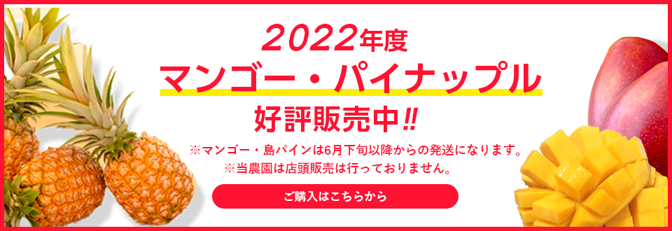 石垣島のパイナップル スナックパイン ピーチパインの通販 フルーツ農園フォーユー